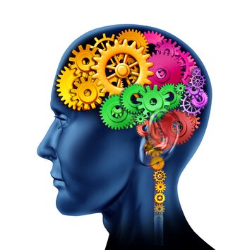 christian bock, article invité, solution stress, cerveau reptilien