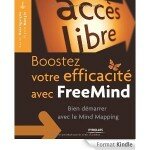 carte heuristique, carte mentale, mind mapping, freemind, xmind, boostez votre efficacité avec Freemind, xavier delengaigne, pierre morin