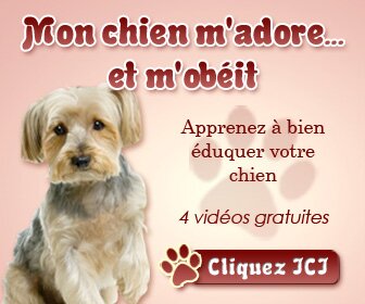 336x280A club affiliation pro, gagner argent internet, affiliation